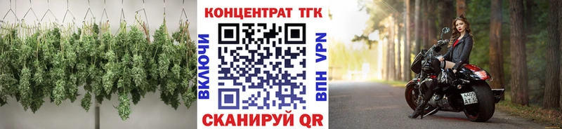 ТГК Wax  Кущёвская 