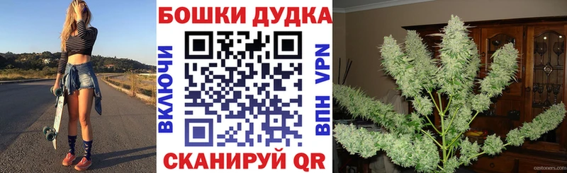 Бошки Шишки OG Kush  что такое   Кущёвская 